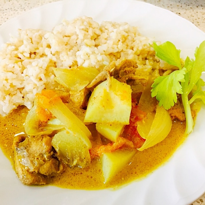 ベトナムチキンカレー